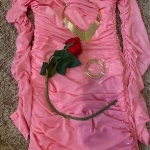 Sleeping Beauty Dress and Accessories